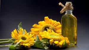 Used Sunflower Oil